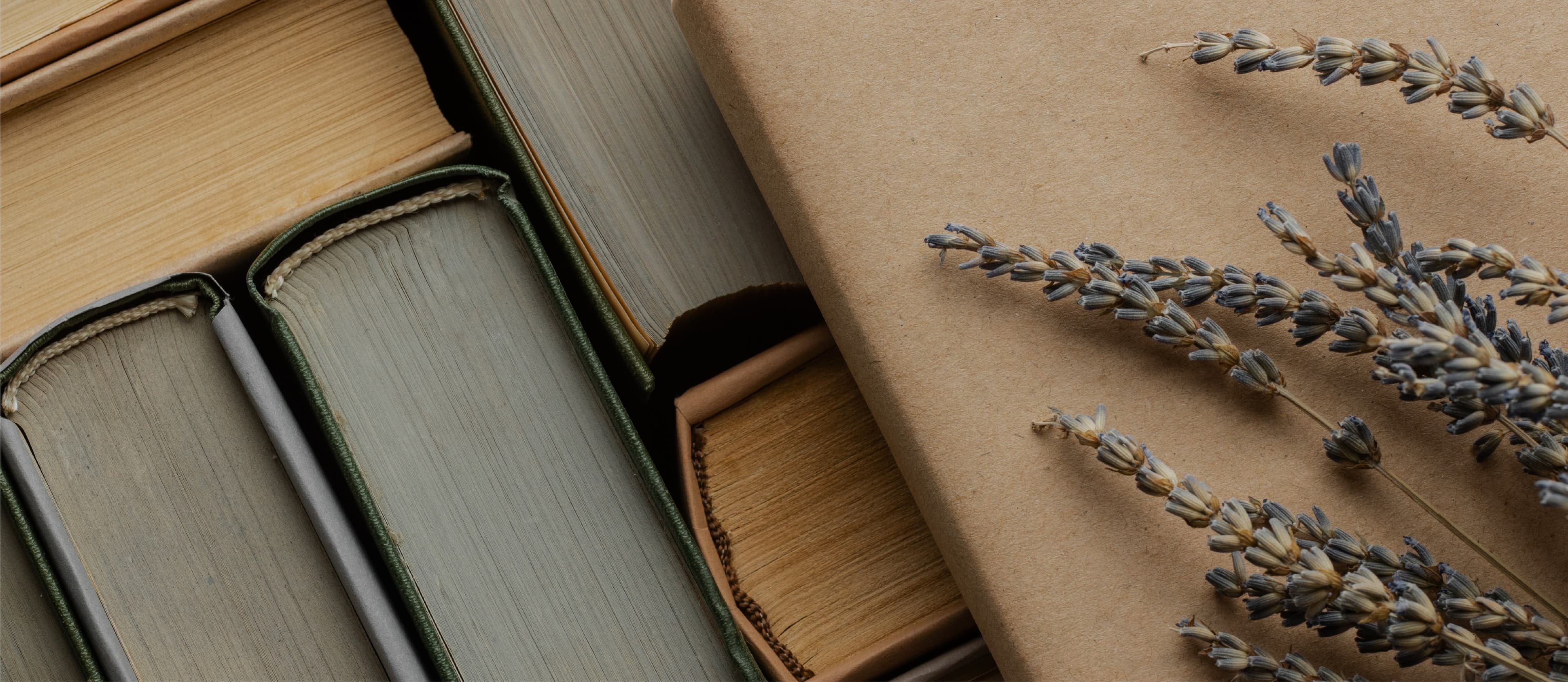 Fondo Fundación Ángeles Terrazo